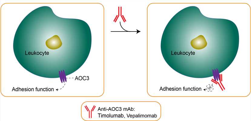 Mechanism of Action of Vepalimomab